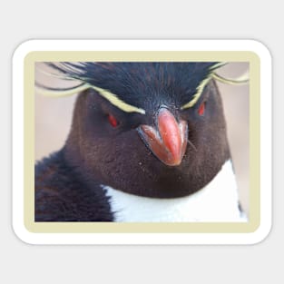 PENGUIN LOOKING AT YOU Sticker